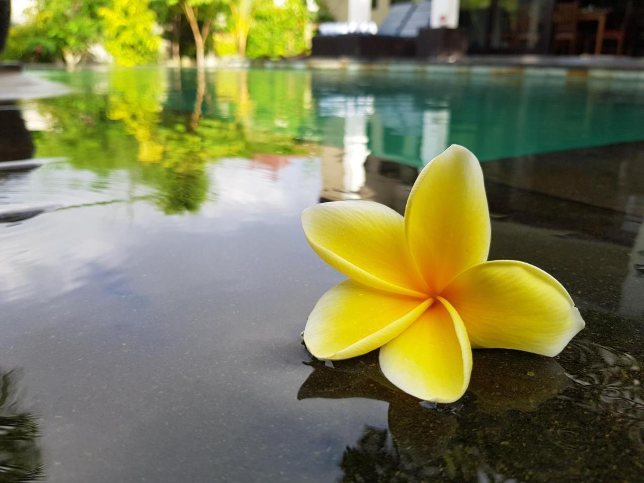 Villa Horizon Nusa Dua Nusa Dua  Luaran gambar
